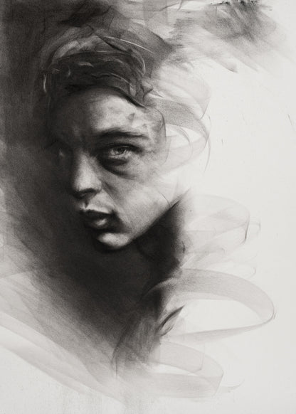 Quiet Light, Steady Gaze