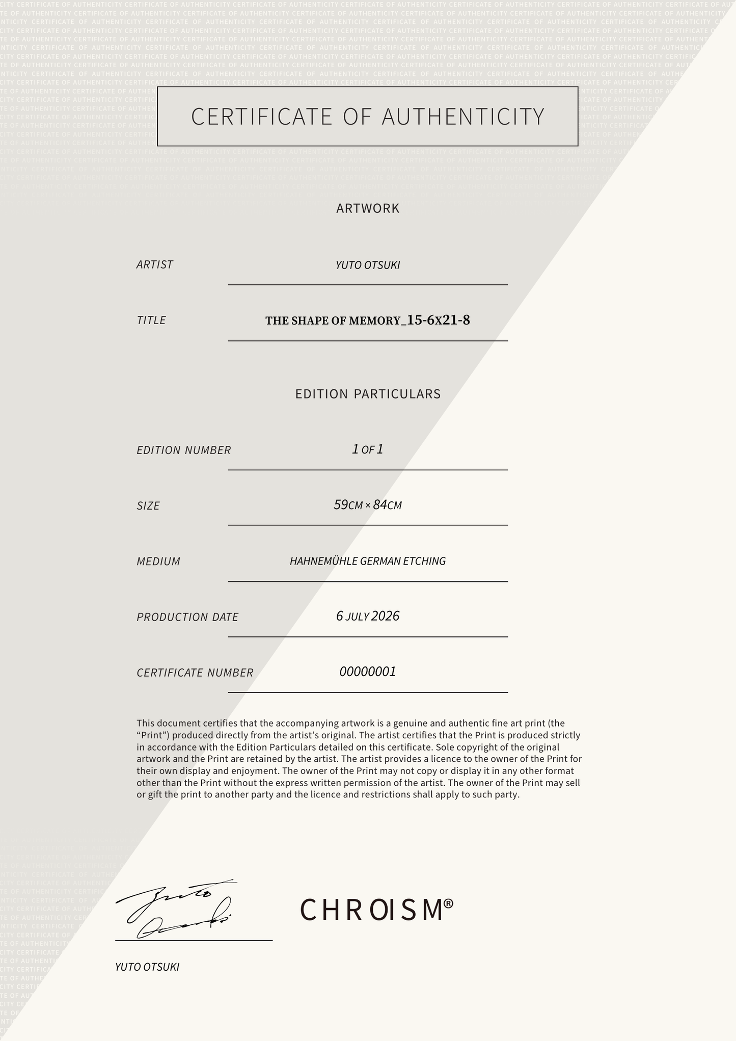 The Shape of Memory_15-6x21-8 — Certificate of Authenticity