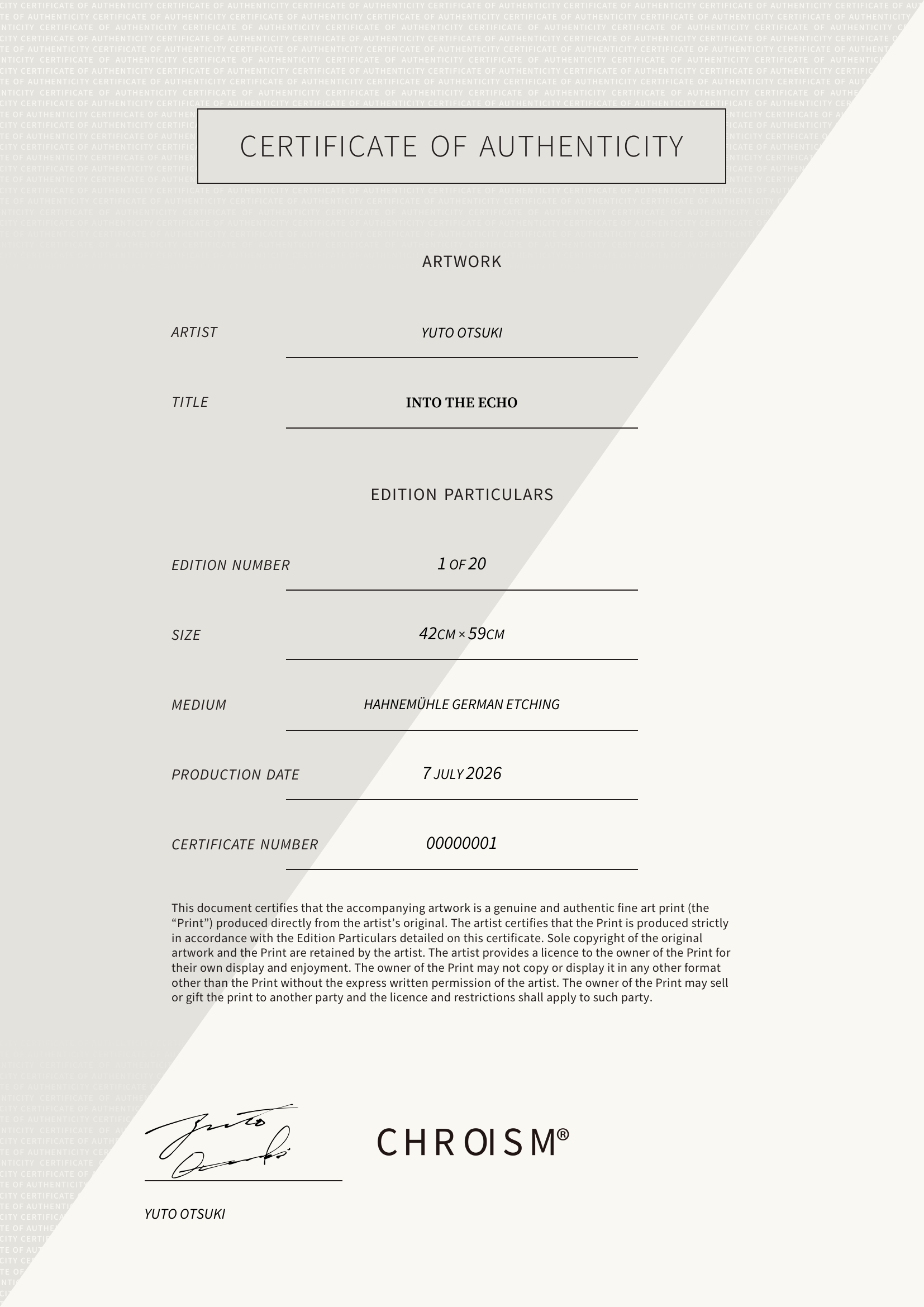 Into the Echo — Certificate of Authenticity