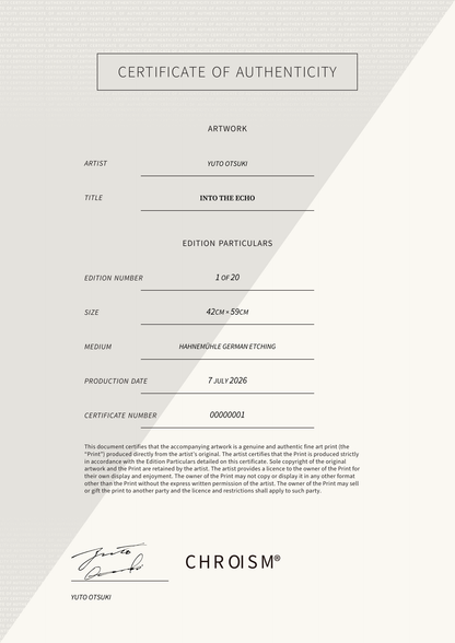 Into the Echo — Certificate of Authenticity