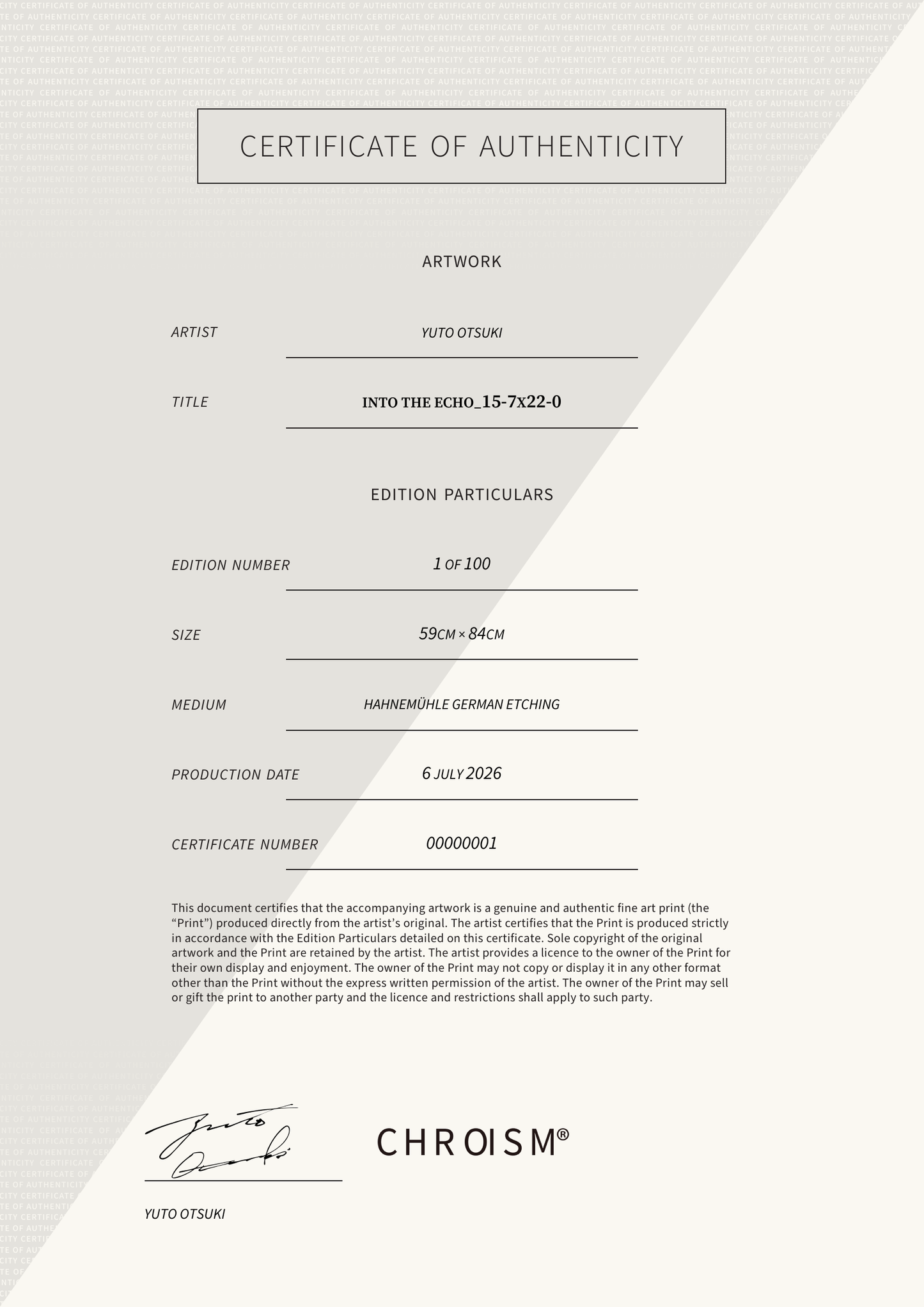 Into the Echo_15-7x22-0 — Certificate of Authenticity