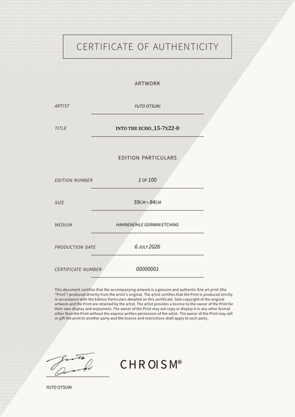 Into the Echo_15-7x22-0 — Certificate of Authenticity